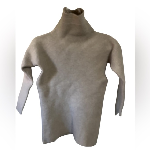 Madewell Wool Turtleneck Imperfection Sweater Sz Small - Picture 2 of 7